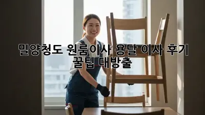 밀양/청도 원룸이사, 용달 이사 후기: 꿀팁 대방출🍯